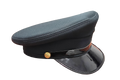 Green Forage Cap